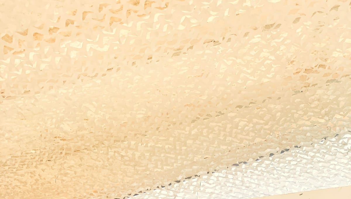 The Temporal Rhythms That Hold Organizations Together