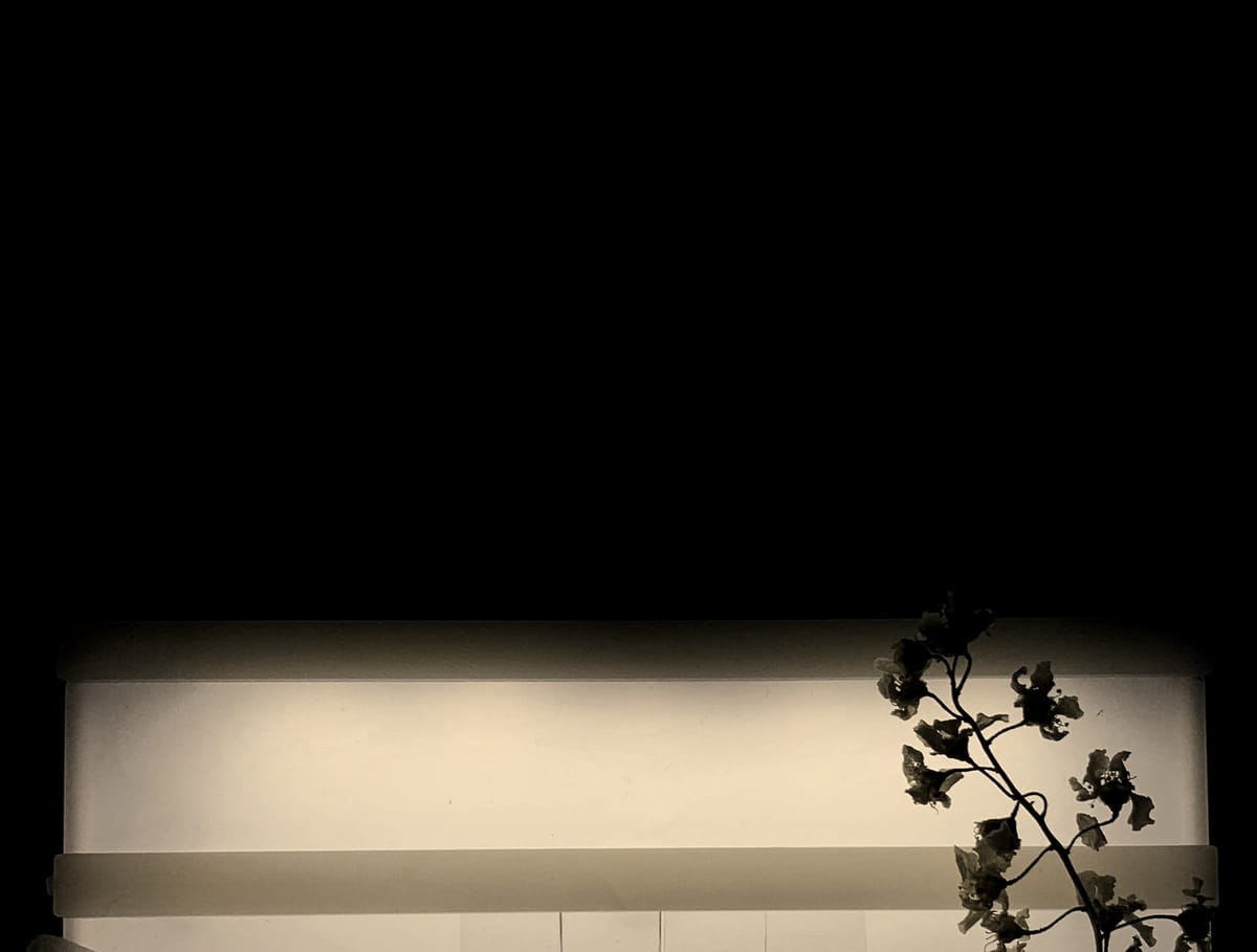 Balsamic Time: What 25-Year Vinegar Teaches About Patience