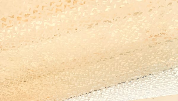 The Temporal Rhythms That Hold Organizations Together